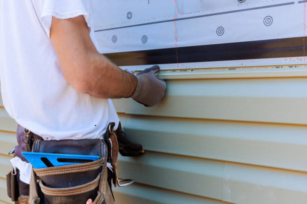 Best Insulated Siding Installation  in Hoer, OK